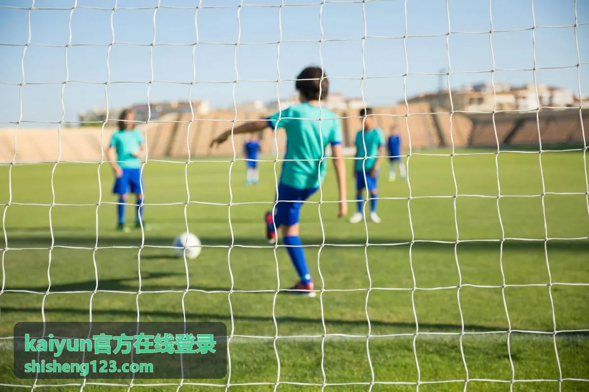 kaiyun官方在线登录页面加载缓慢处理方法封面